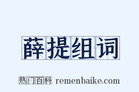 薛提组词是什么意思的图片
